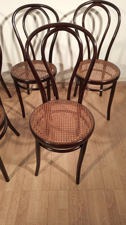 Set of 5 Thonet Drava style chairs with classic bentwood woven cane seats