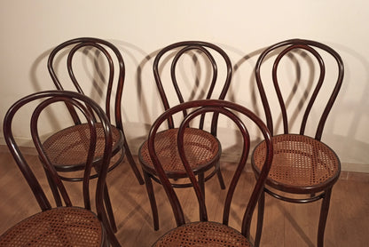 Set of 5 Thonet Drava style chairs with woven straw seats in bentwood, vintage, 21st century